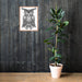 Viking Owl Framed Poster | Dark Horse Workshop - Dark Horse Workshop